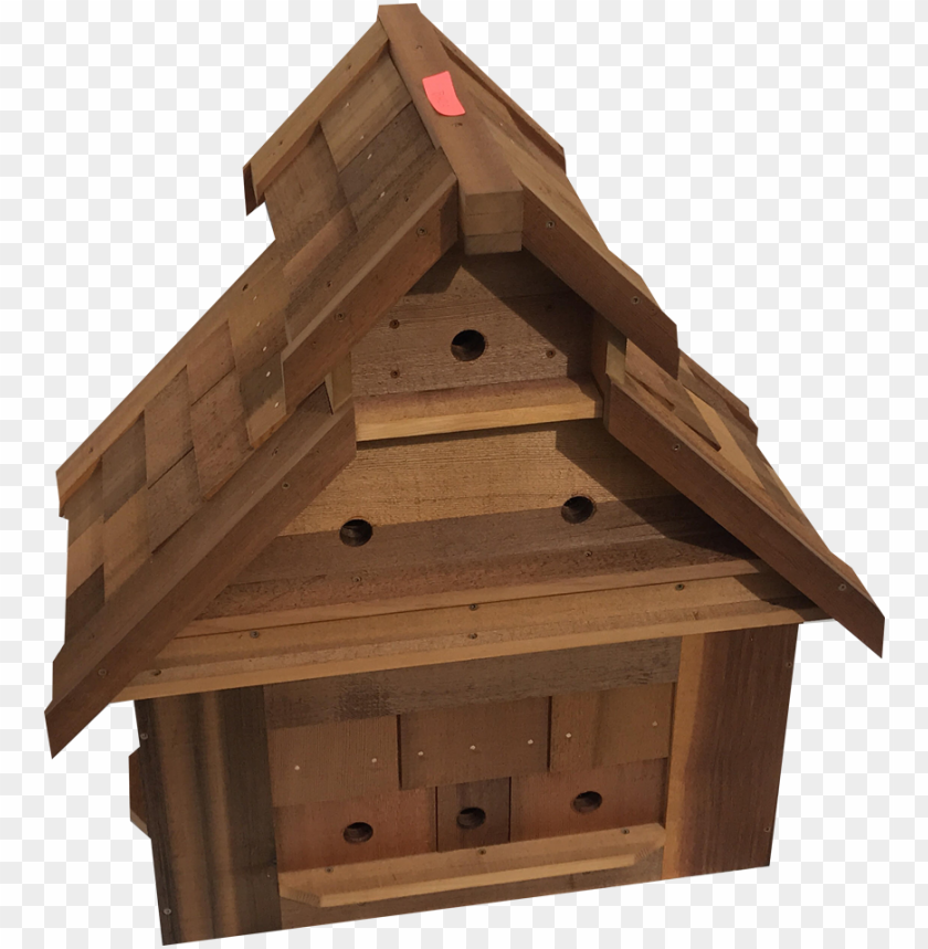 background, home, garden, building, cedar tree, house logo, bird