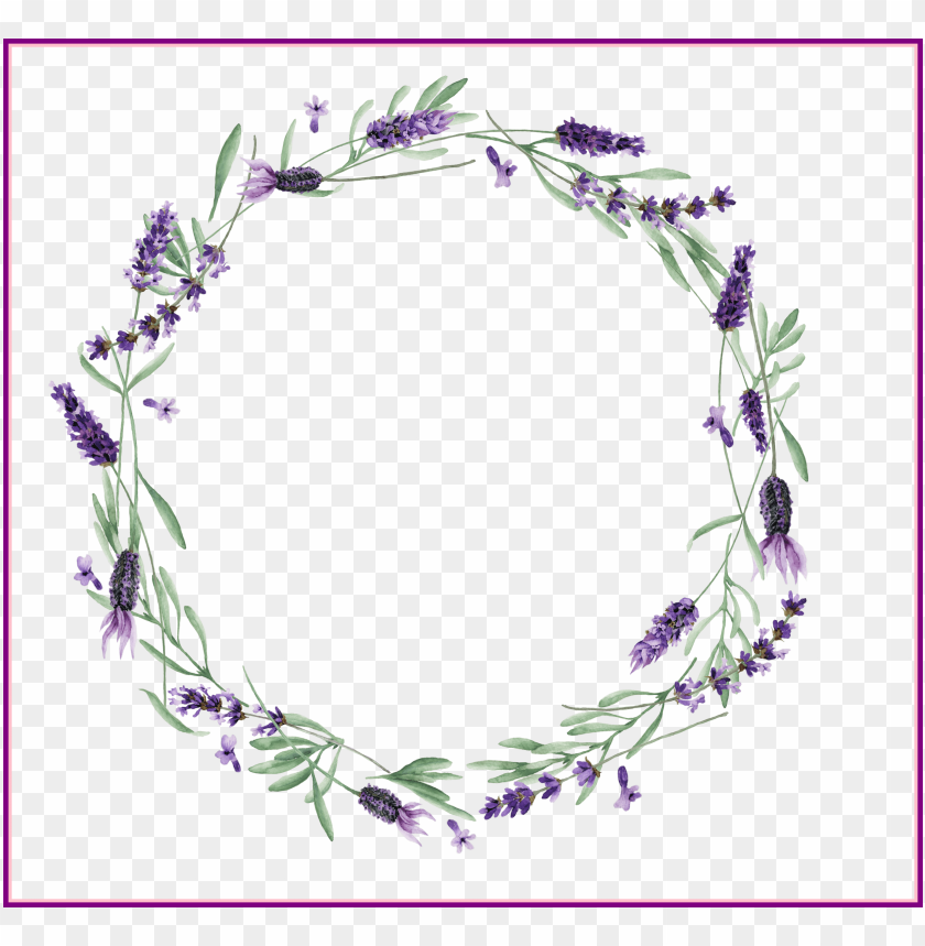 lavender vector royalty free stock huge lavendar wreath transparent PNG transparent with Clear Background ID 193063