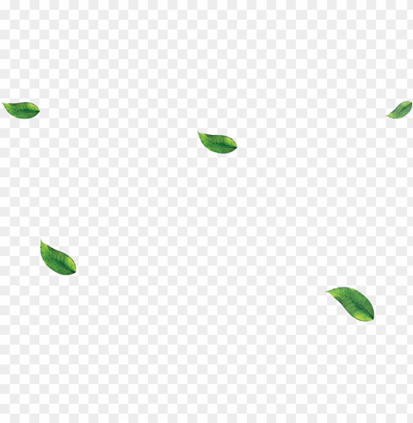 green leaves, green leaf, green check mark, green bay packers logo, green bay packers, green checkmark