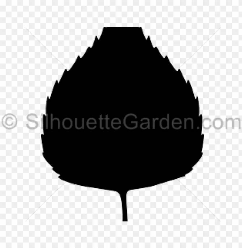 free PNG leaf clipart birch tree - taurus raging judge magnum PNG image with transparent background PNG images transparent