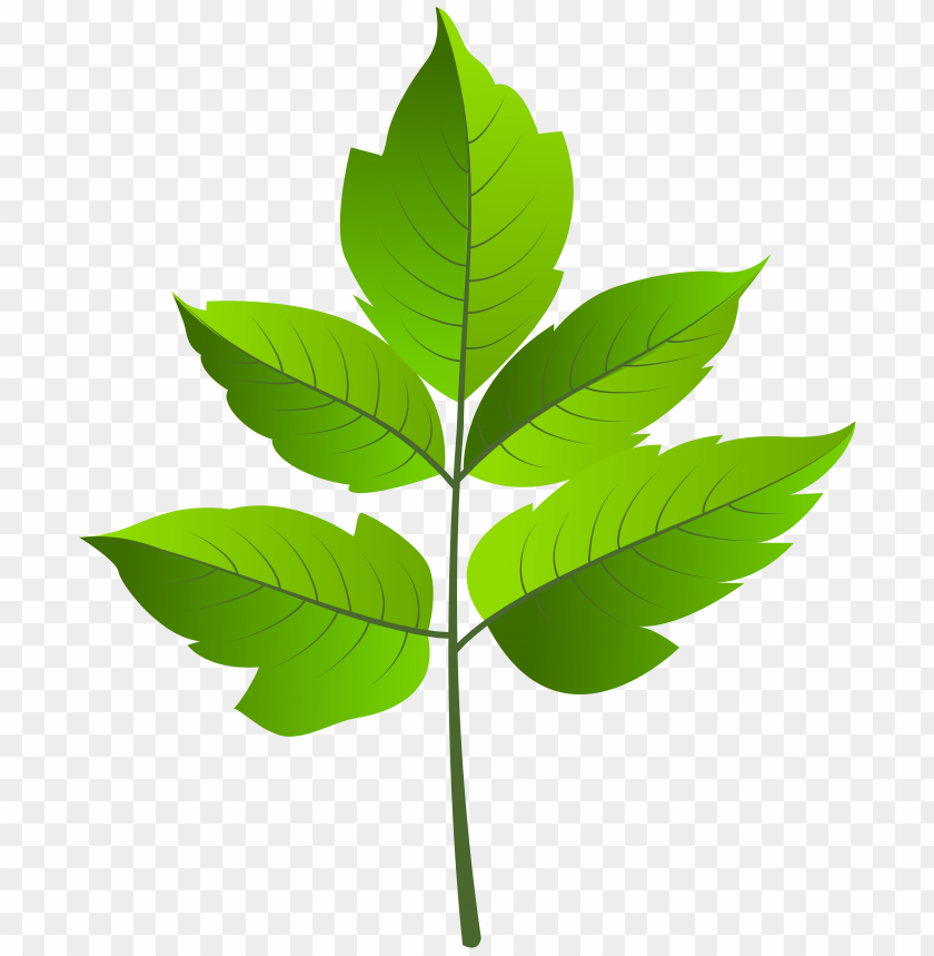 ar, clip, green, leaf