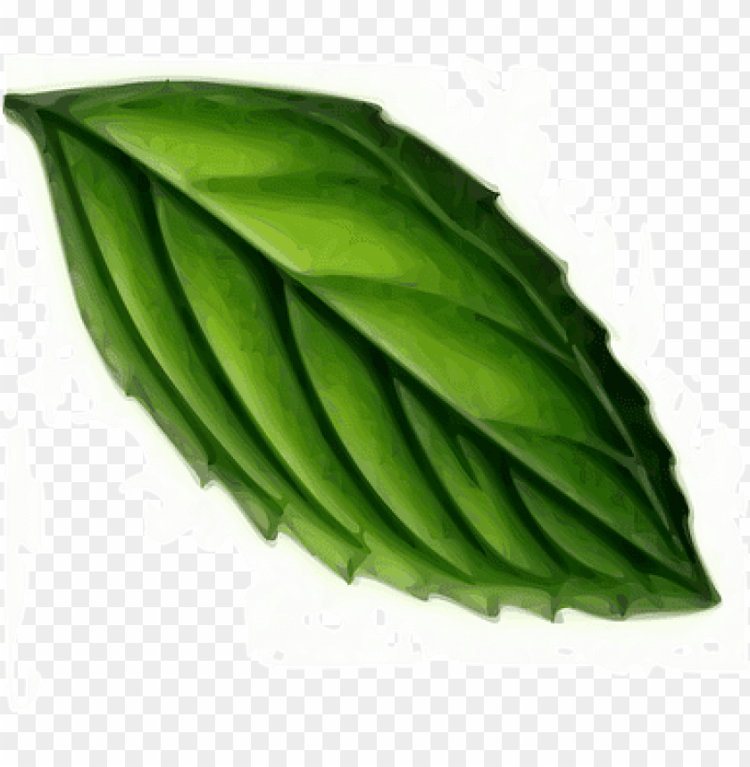 leaf mint plant green tea mint mint mint m mint leaf clip art PNG transparent with Clear Background ID 176400