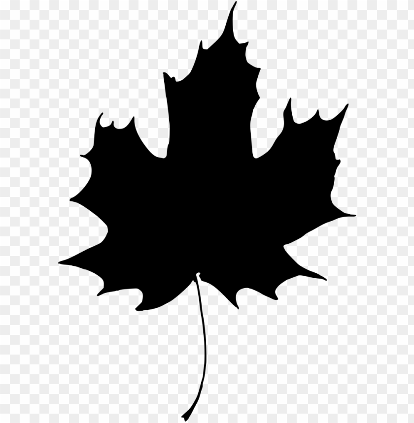Black and white. | Maple leaf drawing, Maple leaf tattoo, Leaf drawing