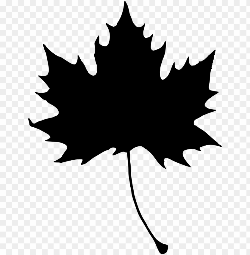 Transparent leaf silhouette PNG Image - ID 3652