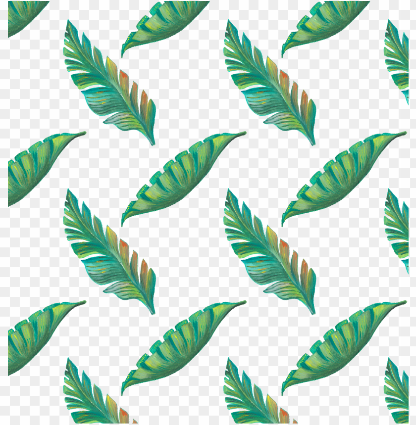 Leaf Tropics Drawing Tropical Leaves Pattern Png Image With Transparent Background Toppng