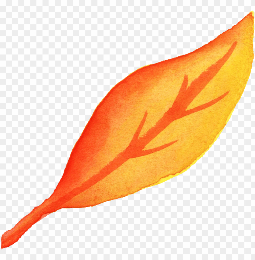 download button, fall leaf, download on the app store, watercolor circle, leaf crown, fall