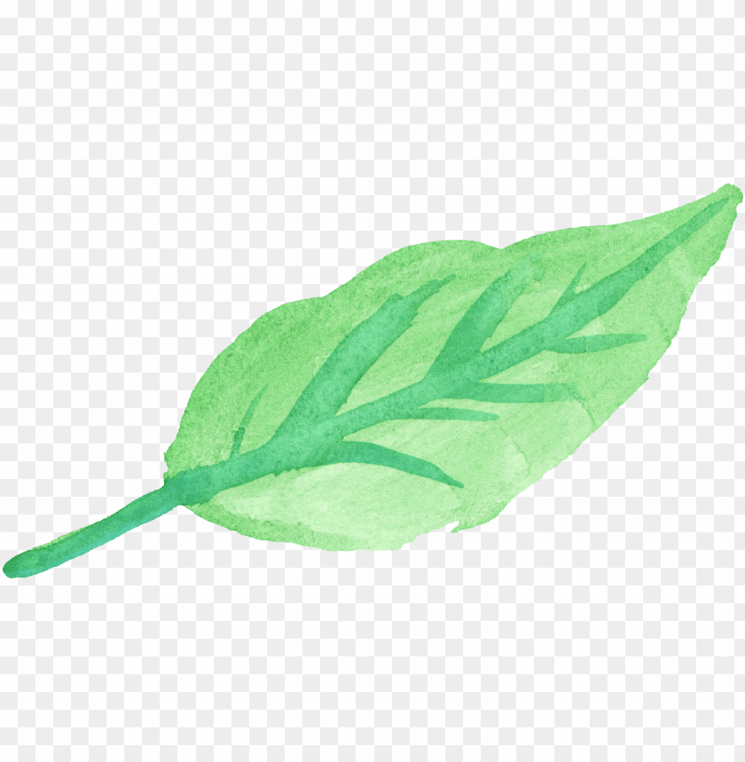 leaf watercolour