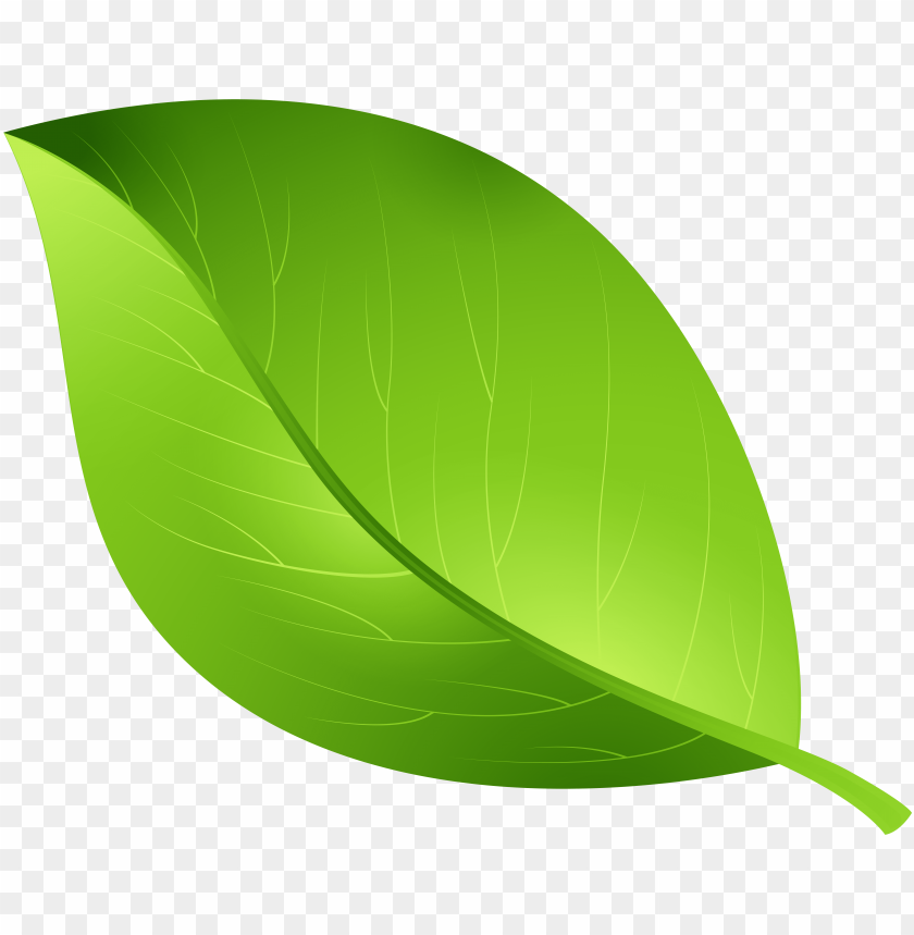 Leaftransparent Background PNG Transparent With Clear Background ID ...