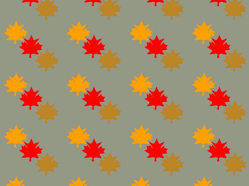 leaves, maple, autumn, patterns, texture