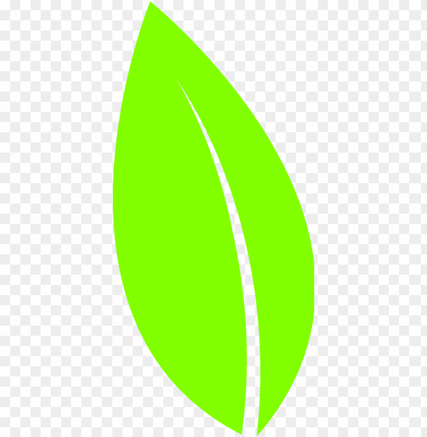 leaf vector png