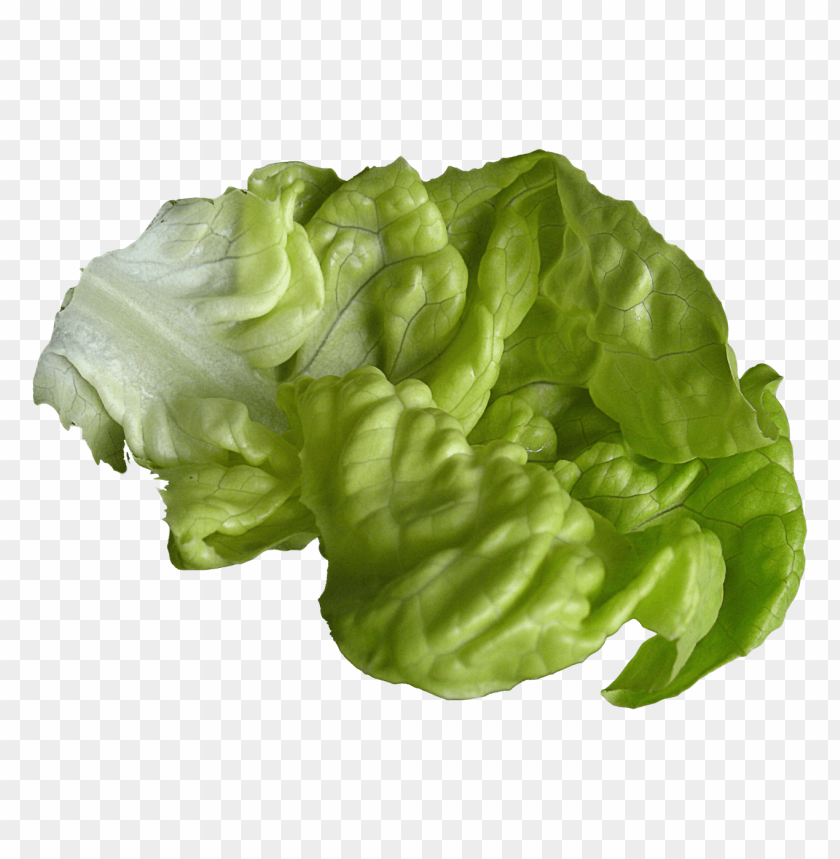 
vegetables
, 
leaf
, 
lettuce
