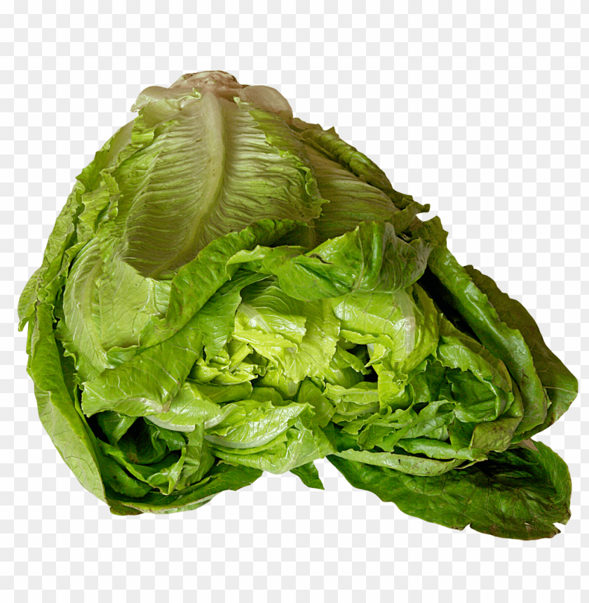 
vegetables
, 
lettuce
, 
leaves
, 
leafs
