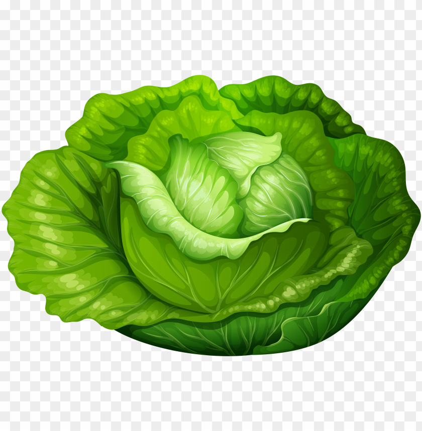 food, health, isolated, broccoli, illustration, organic, symbol