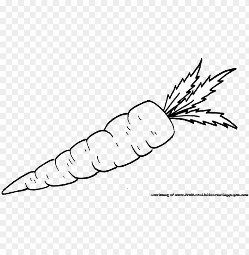 Library Library Carrot Clipart Vegatable - Carrots Black And White PNG Transparent With Clear Background ID 238728