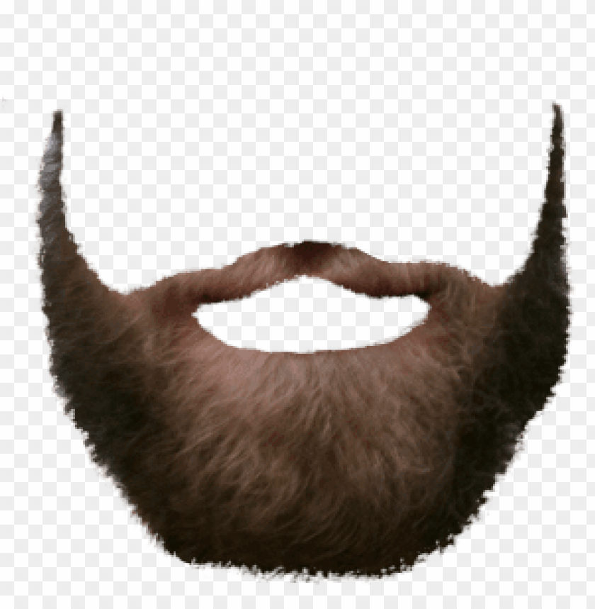 Transparent background PNG image of light brown beard - Image ID 69583