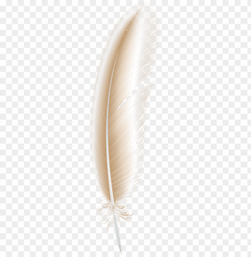 light brown feather png