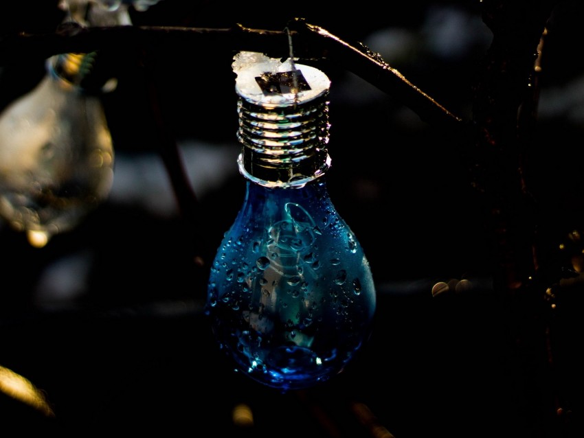 light bulb, drops, moisture, dark