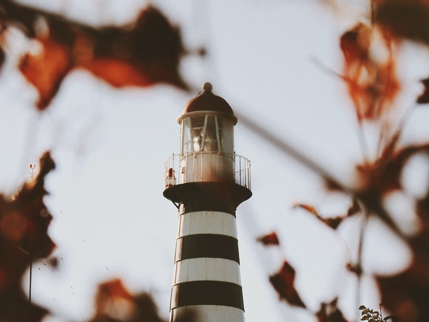 lighthouse, building, architecture, bushes, leaves