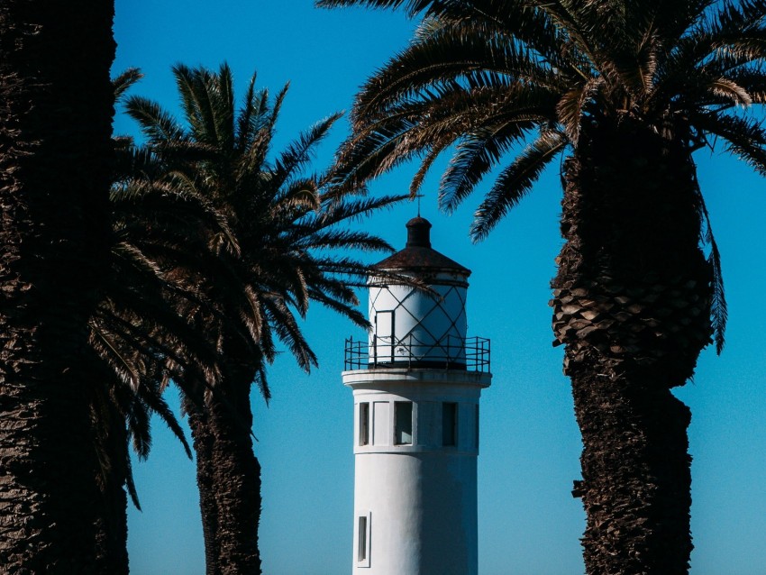 lighthouse, palm trees, sea, building, architecture, coast
