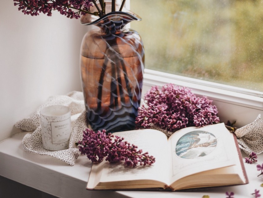 lilac, book, vase, comfort, window