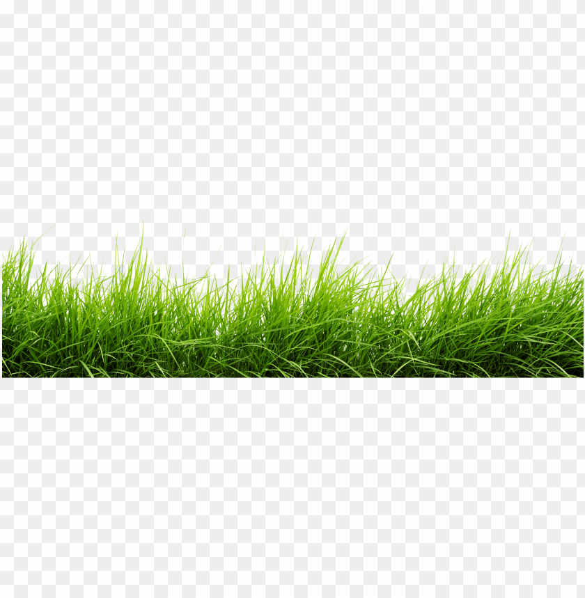 
nature
, 
grass
, 
green
, 
landscape
, 
outside
, 
line of grass
