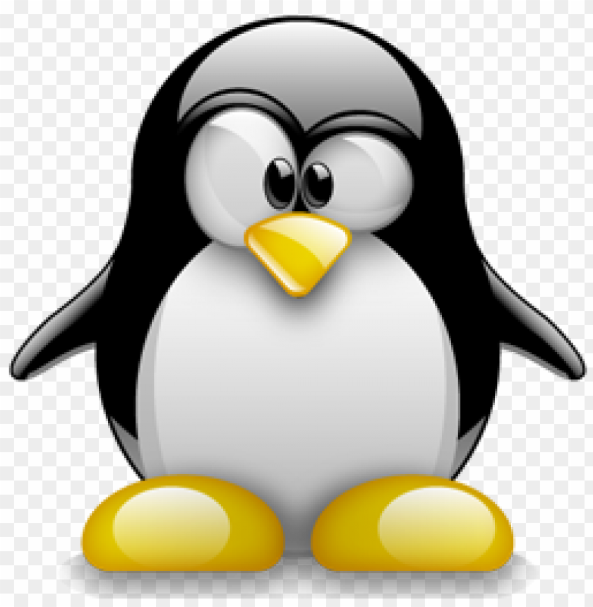 Linux Penguin Logo Character Symbol Of The Operative System Svg Png Icon  Free Download (#44718) - OnlineWebFonts.COM