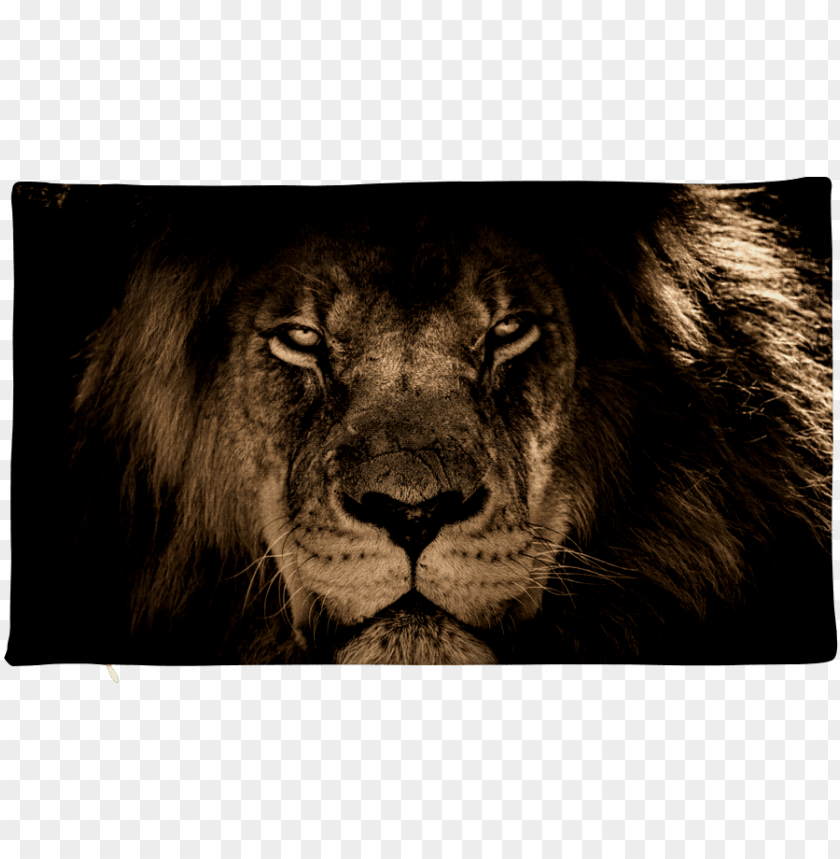 lion face pillow case - iphone wallpaper lion hd PNG image with transparent  background | TOPpng