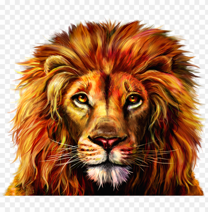 Lion Face Download - Lion Phoenix PNG Transparent Background