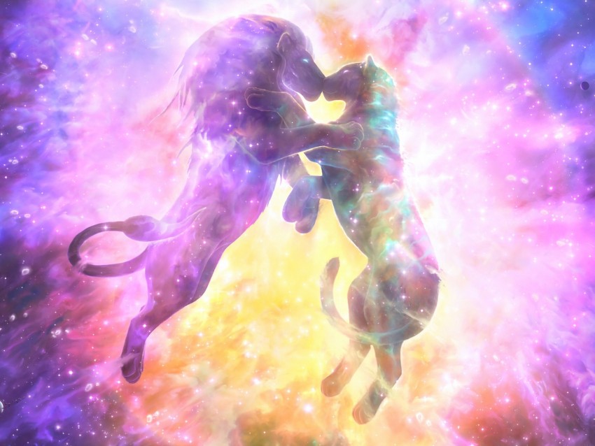 lion, lioness, kiss, silhouettes, space, starry sky
