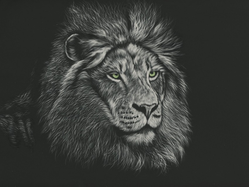 lion, mane, predator, king of beasts, art