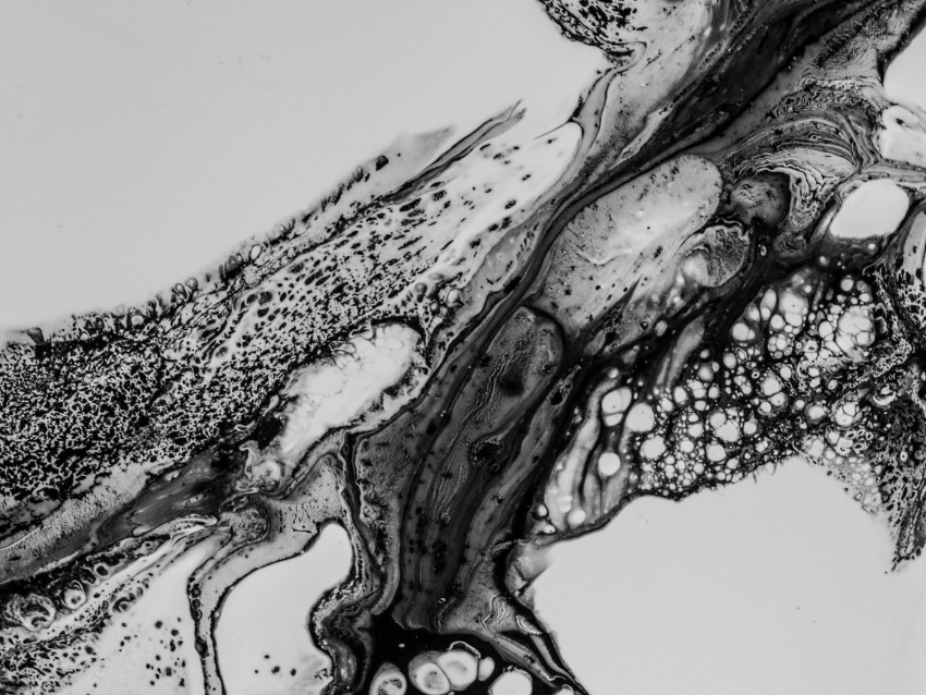 liquid, texture, bw, stains, spots, abstraction