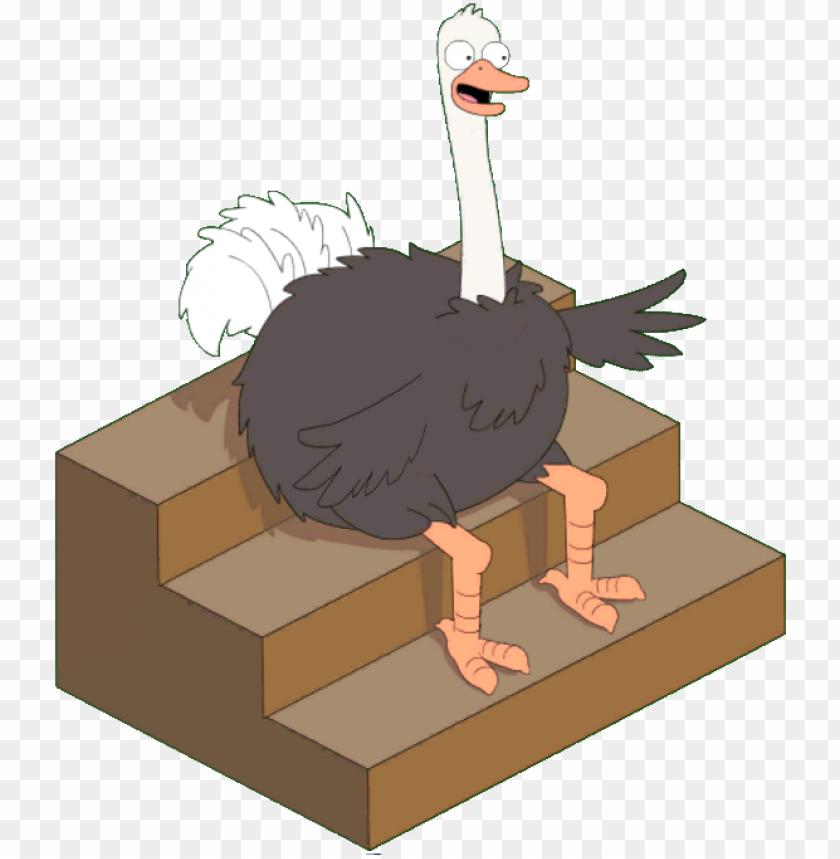 Live Studio Ostrich - Turkey PNG Transparent With Clear Background ID 443833