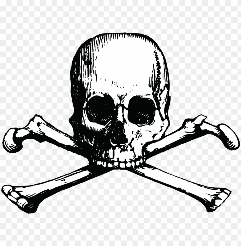 Bones русский язык. Кости логотип. Skull and Bones logo. Ла Пест Skull and Bones. Skull and Bones фурнитура.