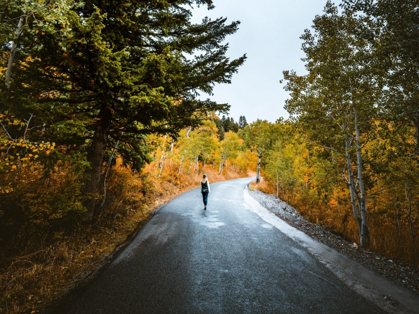 loneliness, walk, road, autumn, solitude, forest