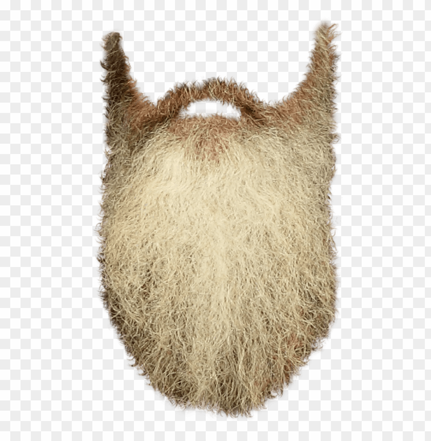 people, beards, long beard, 