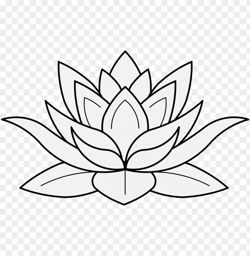 lotus flower, pharmacy, isolated, medical, food, medicine, ampersand