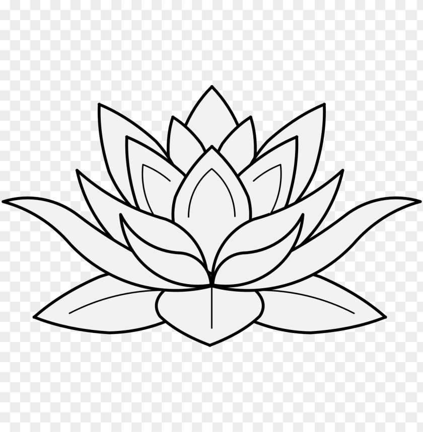 Lotus Flower In Profile - Lotus Flower Black And White PNG Transparent Background