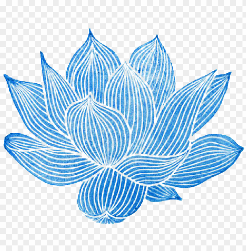 lotus flower, design, rose, illustration, flower, square, wedding
