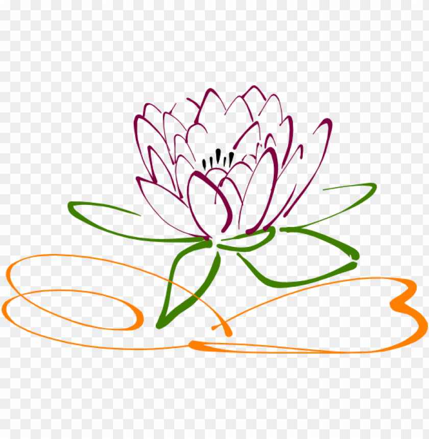free PNG lotus flower vector PNG image with transparent background PNG images transparent