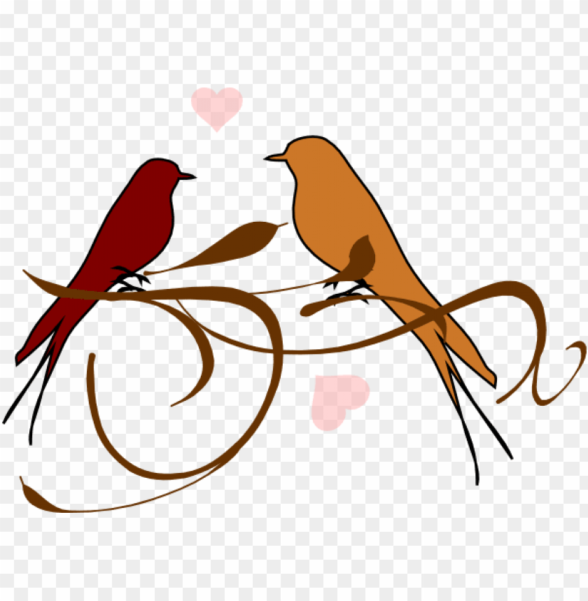 tumblr transparent love, family love, love, birds flying, angry birds, flock of birds