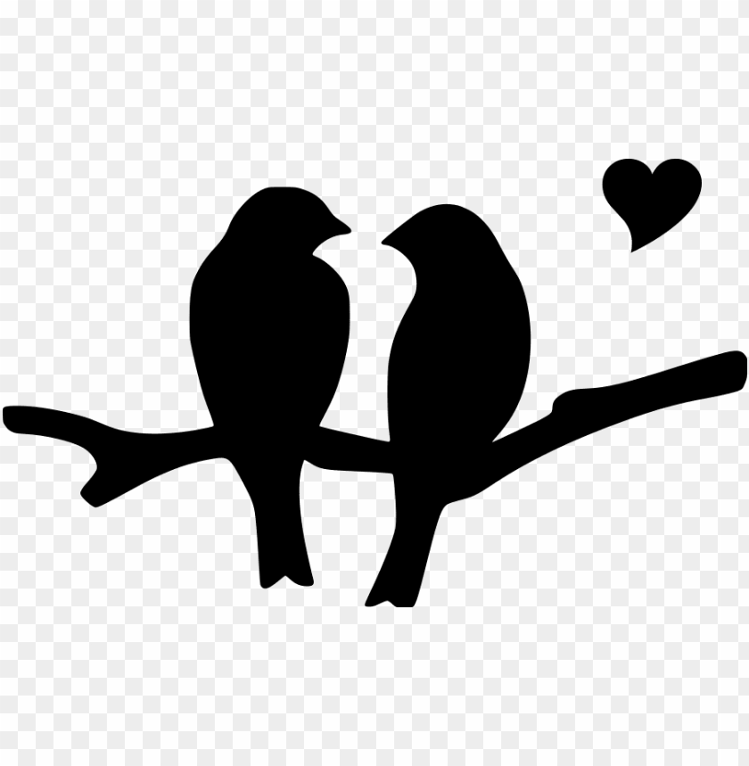 tumblr transparent love, family love, love, birds flying, angry birds, flock of birds