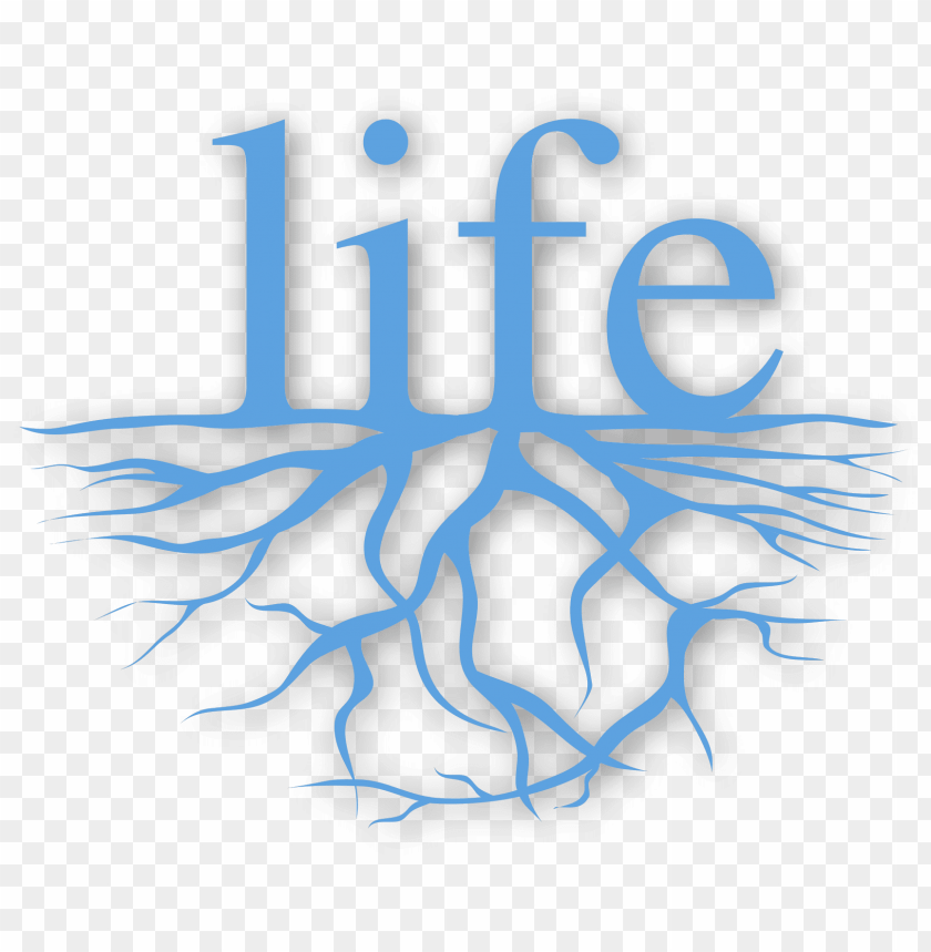 Love My Life I Am Beautiful PNG Image With Transparent Background
