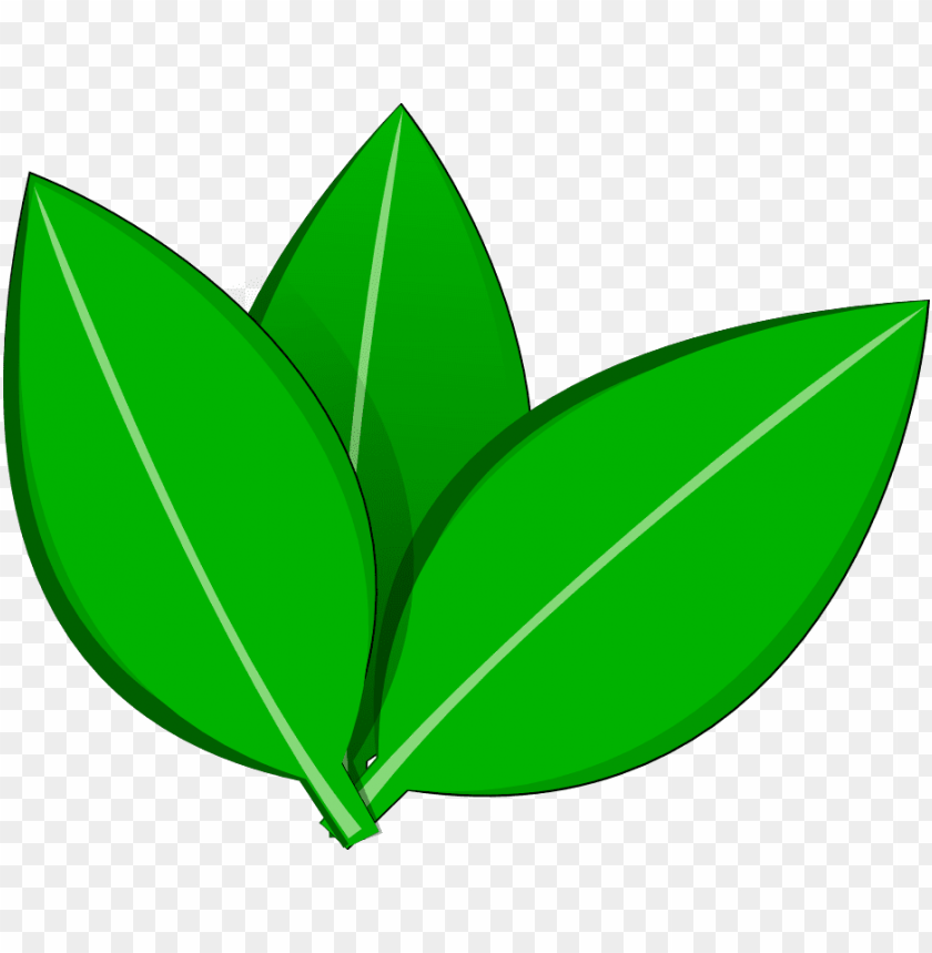 love, frame, leaf pattern, vector design, square, flower vector, maple leaf
