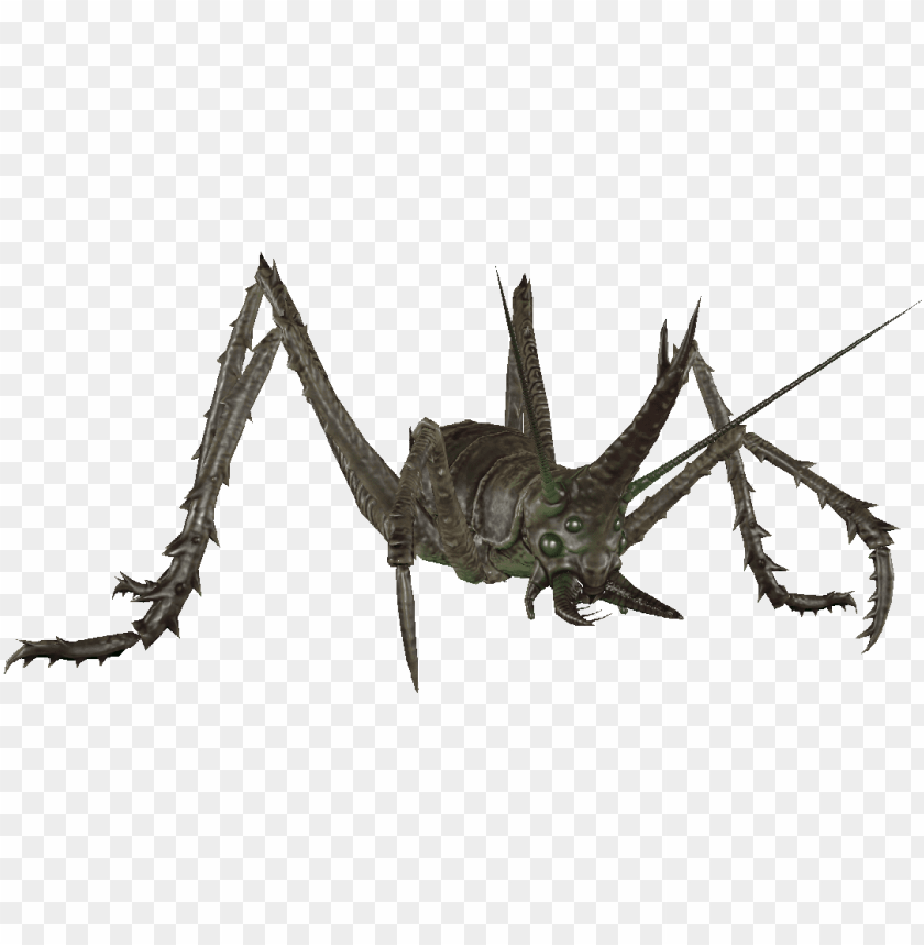 lowing cave cricket - fallout 4 cave cricket PNG image with transparent background@toppng.com
