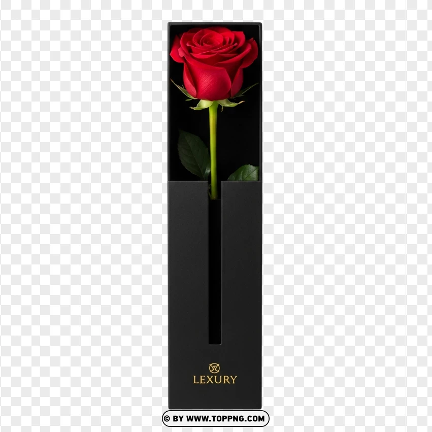Luxury Single Red Rose In Slim Gift Box PNG Transparent Background