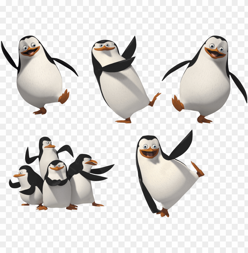 madagascar penguins png image penguin of madagascar PNG transparent with Clear Background ID 245615