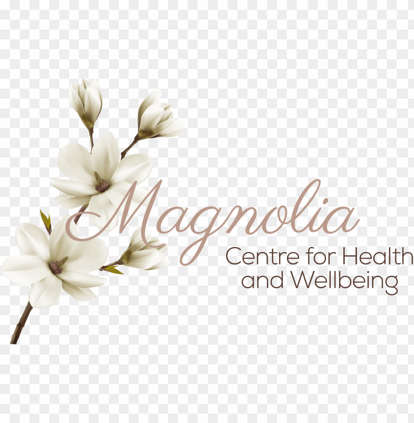 magnolia flower, flowers