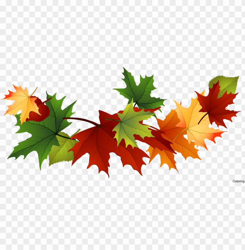 free PNG majestic autumn clipart fall leaves clip art - fall leaves transparent background PNG image with transparent background PNG images transparent