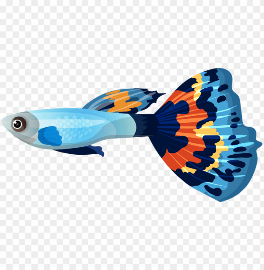 Male Guppy Fish Clipart Png Photo - 54203