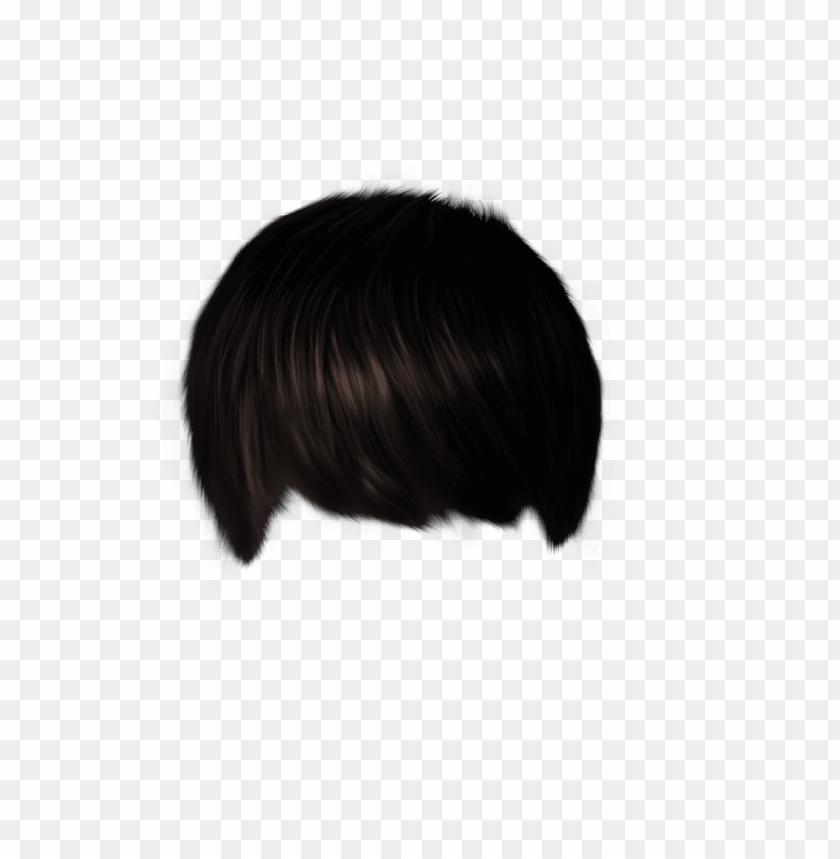 Transparent background PNG image of male hair - Image ID 23600